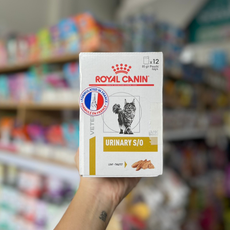 ROYAL CANIN URINARY S/O WET (VÀNG) HỘP 12 GÓI