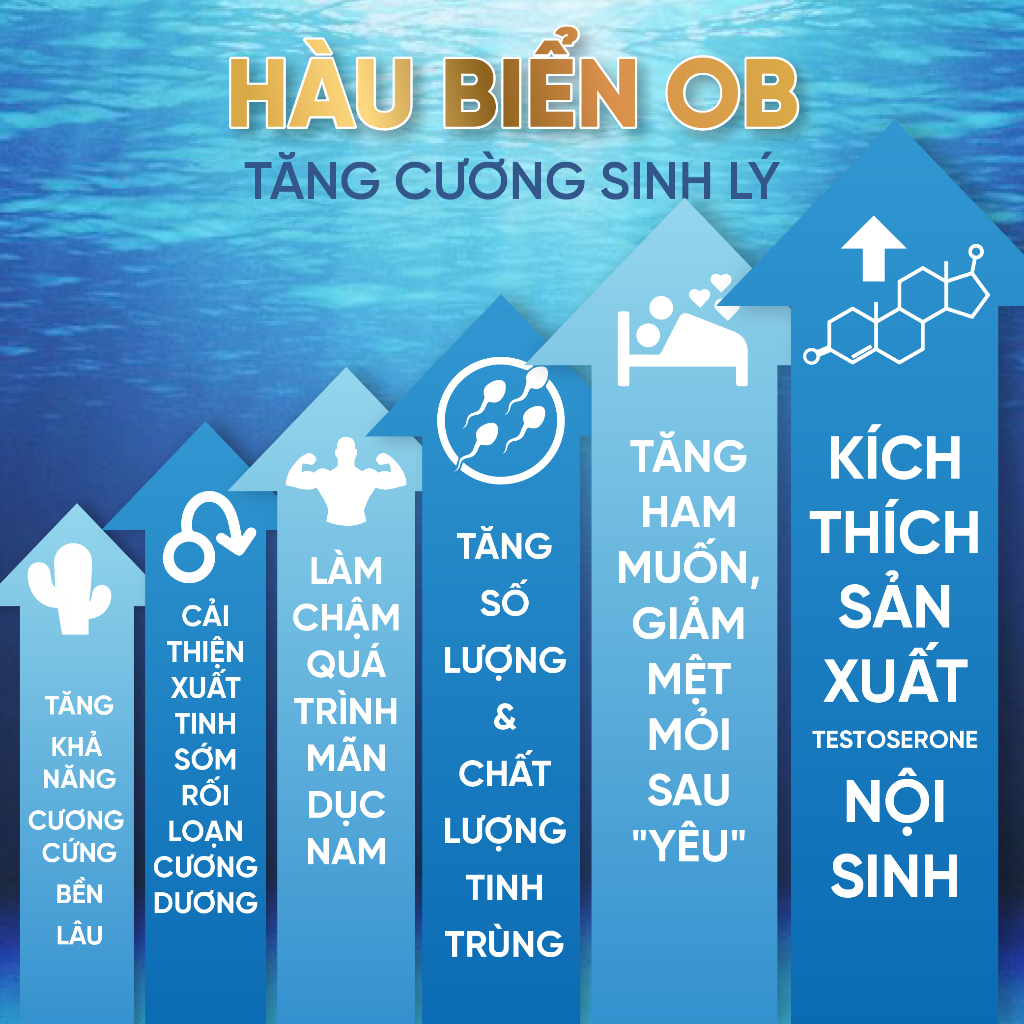 HOB-Combo 2 Hộp Hàu Biển OB Grow Green AZ tăng cường sinh lực, cải thiện xuất tinh sớm, rối loạn cương dương(30 viên)