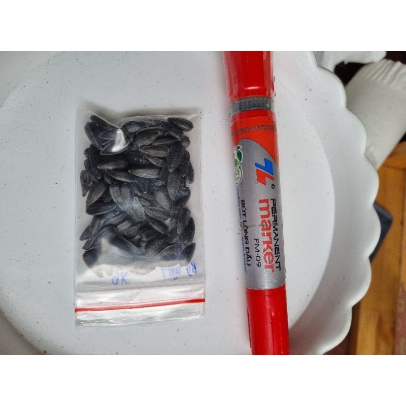 Hạt giống hoa Hướng Dương Đỏ - gói 100 hạt