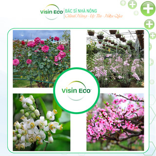 Siêu Kích Hoa VISINECO - chephamnhavuon