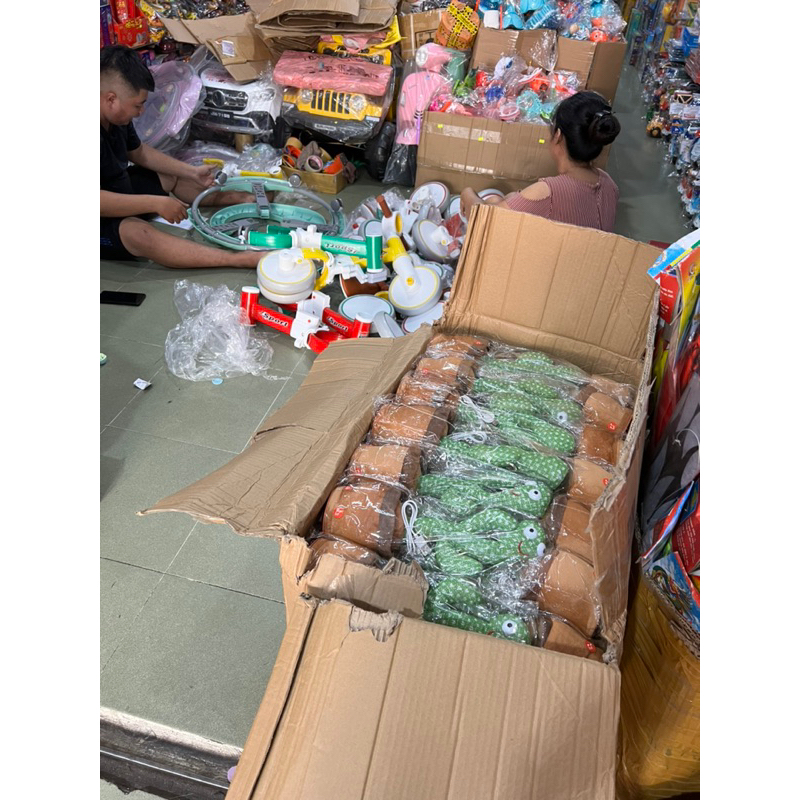 Cây xương rồng nhạc việt, nhảy múa, ghi âm