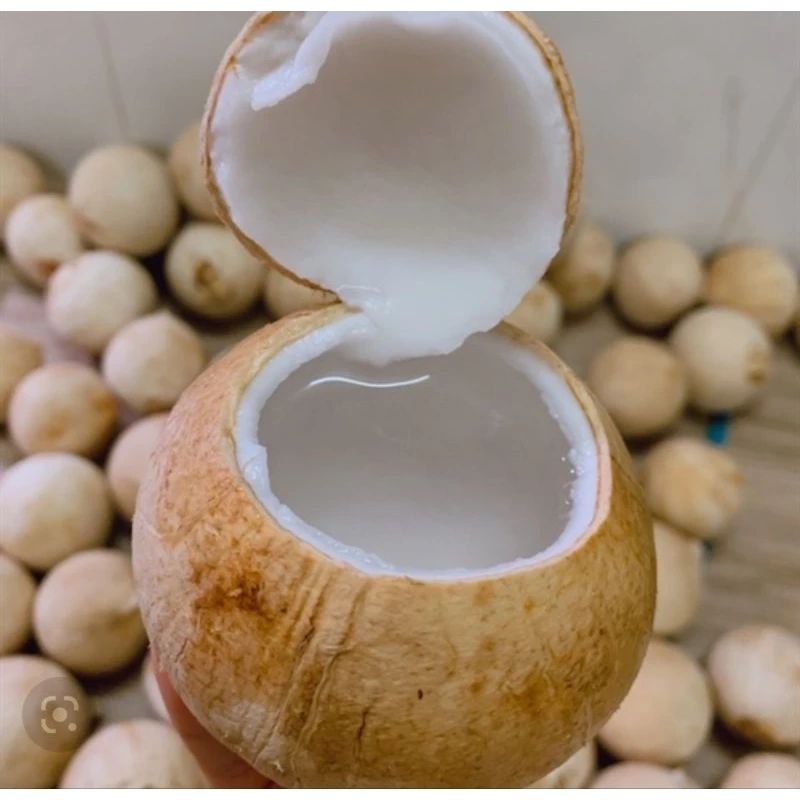 Dừa xiêm Bến Tre trọng lượng từ 400g trở lên