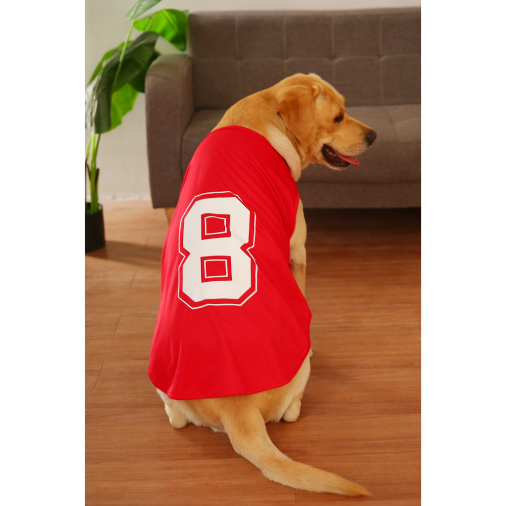 Áo chó to, áo thun chó lớn cho thú cưng trên 10kg