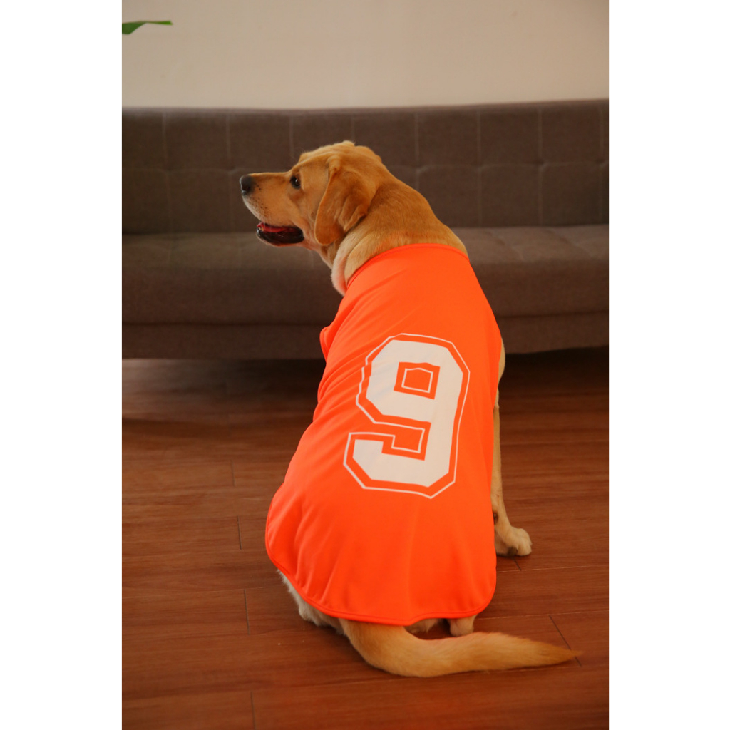 Áo chó to, áo thun chó lớn cho thú cưng trên 10kg