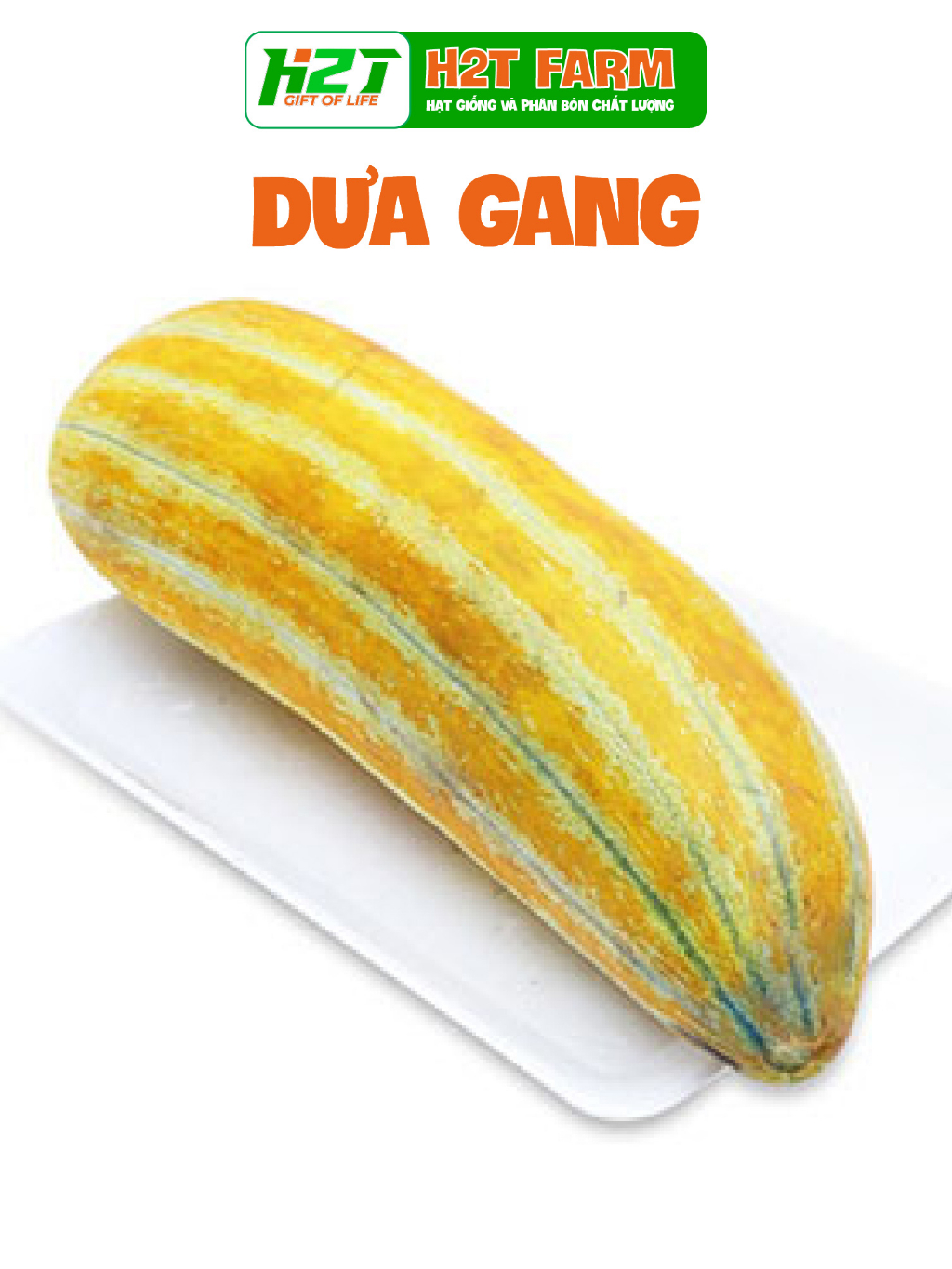 Hạt Giống Dưa Gang Cao Sản - h2t farm