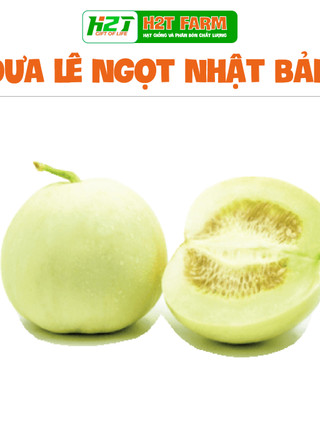 Hạt giống dưa lê siêu ngọt F1 Nhật Bản - h2t farm