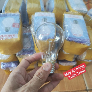 Bóng đèn sợi đốt 60w cho máy ấp trứng