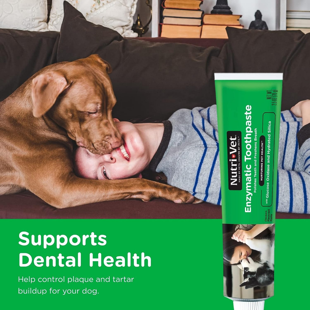 Kem Đánh Răng Cho Chó Nutri-Vet Enzymatic Ngăn Ngừa Mảng Bám, Cao Răng, Kích Ứng Nướu (70gr)