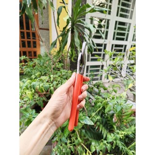 kìm cắt đầu cáp kapusi
