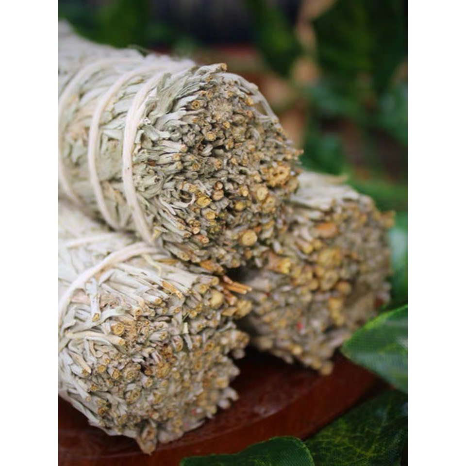 Cây xô thơm, bó xô xanh thanh tẩy tự nhiên,cân bằng cảm xúc, thanh lọc không gian lá sage giảm căng thẳng