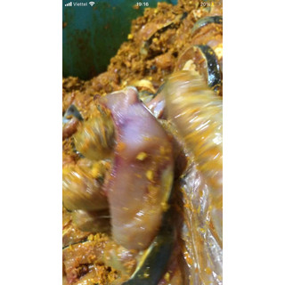 Hộp 500gr chả cá lăng siêu ngon