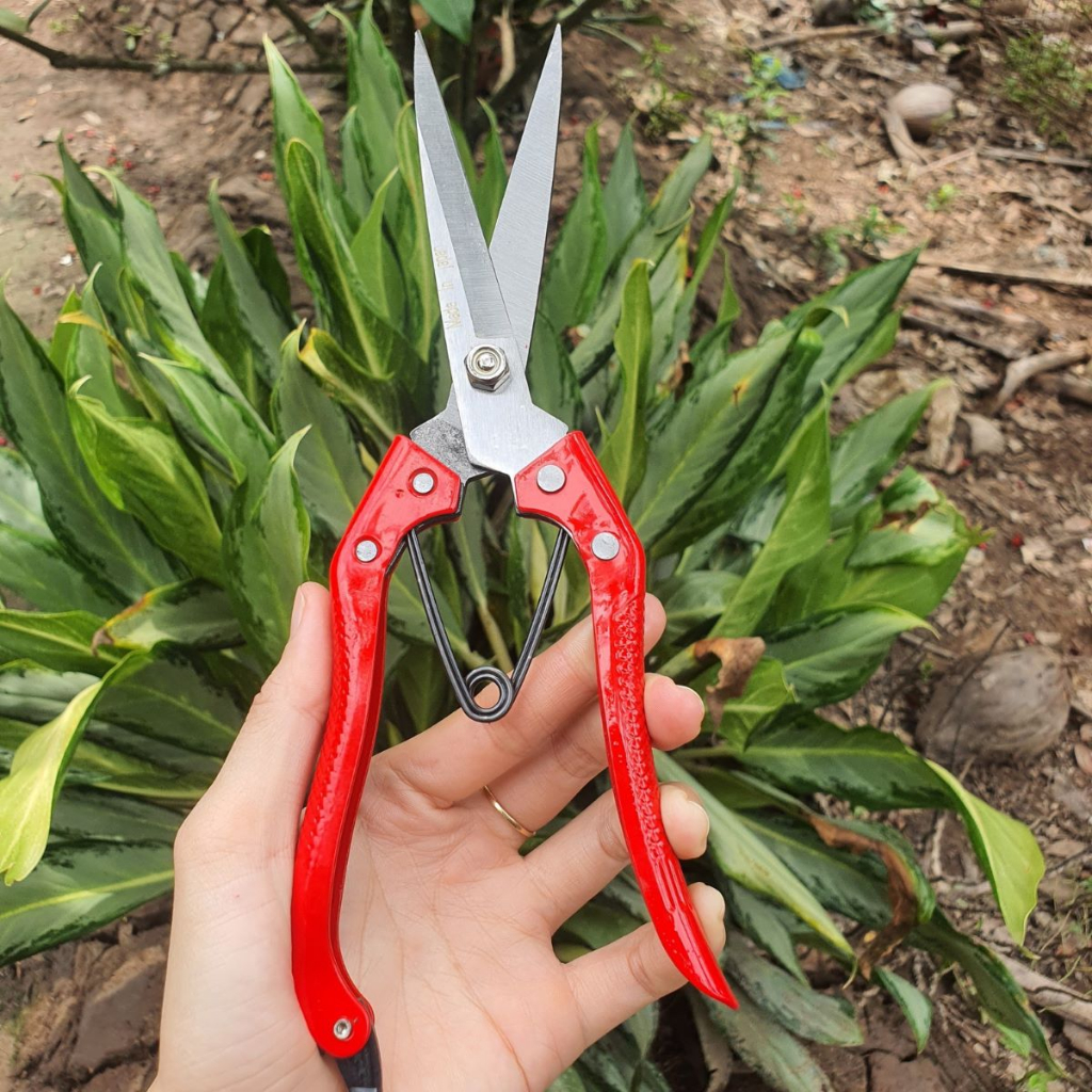 Combo Dụng Cụ Làm Vườn Cây Cảnh Bonsai  - GD
