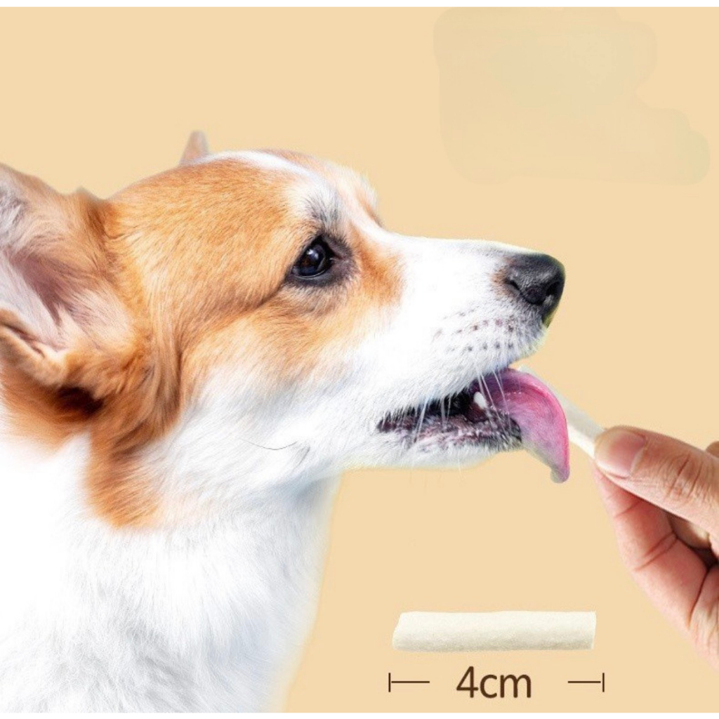 TỦY XƯƠNG ĐÔNG KHÔ CHO MÈO, SNACK CHO MÈO GẶM SẠCH RĂNG, CHỐNG HÔI MIỆNG