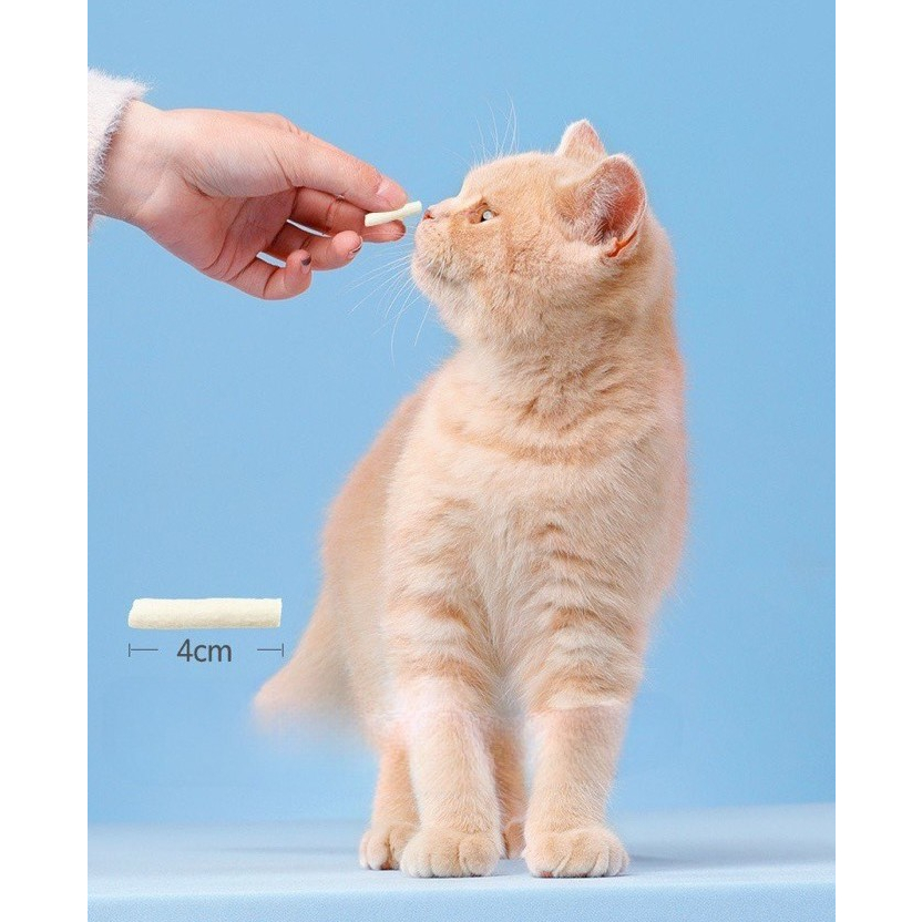 TỦY XƯƠNG ĐÔNG KHÔ CHO MÈO, SNACK CHO MÈO GẶM SẠCH RĂNG, CHỐNG HÔI MIỆNG