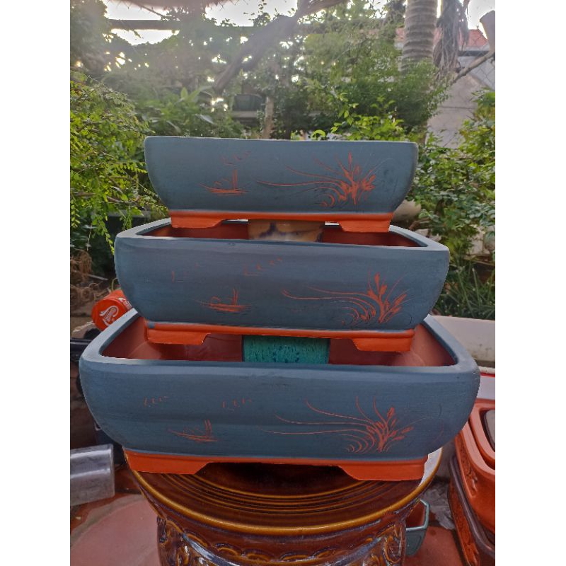 Chậu chữ nhật mẫu Tàu trồng bonsai