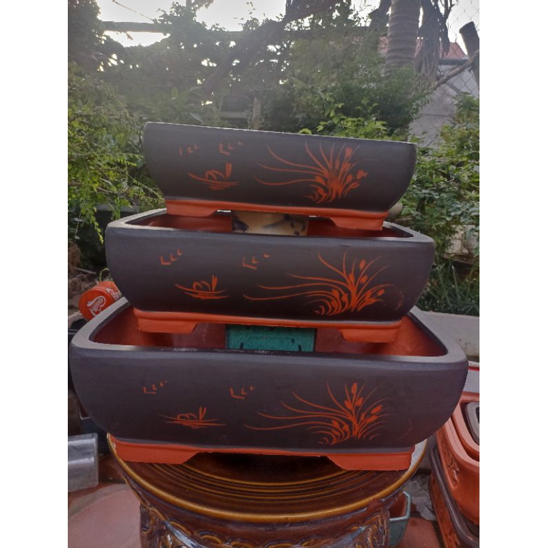 Chậu chữ nhật mẫu Tàu trồng bonsai