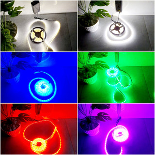 BỘ ĐÈN LED TIKTOK 5M 5050 RGB PHỦ KEO SILICON ĐỔI 7 MÀU