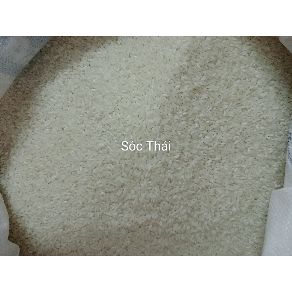 Gạo Sóc Thái