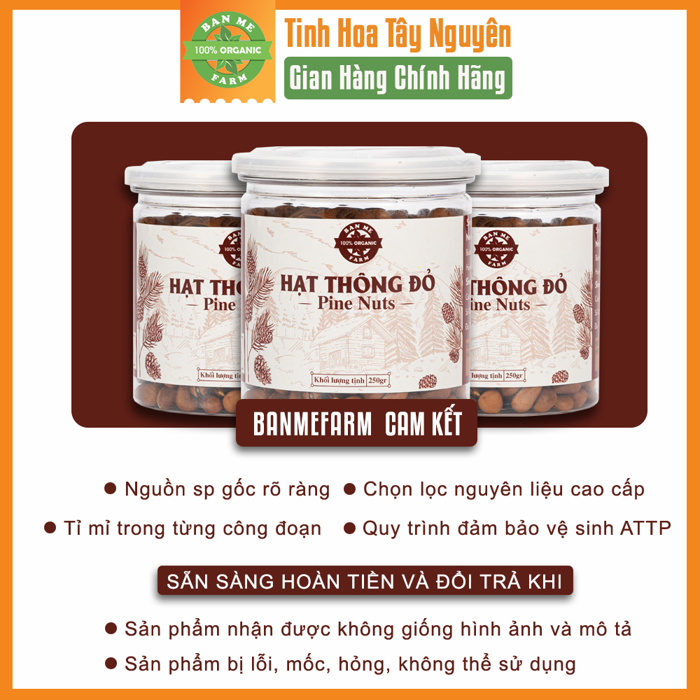 Hạt Thông Tây Nguyên Chính Hãng BANMEFARM Sấy Chín Nguyên Vị Ngon Giòn Tan, Thơm Bùi Hạt Dinh Dưỡng Healthy 250gr