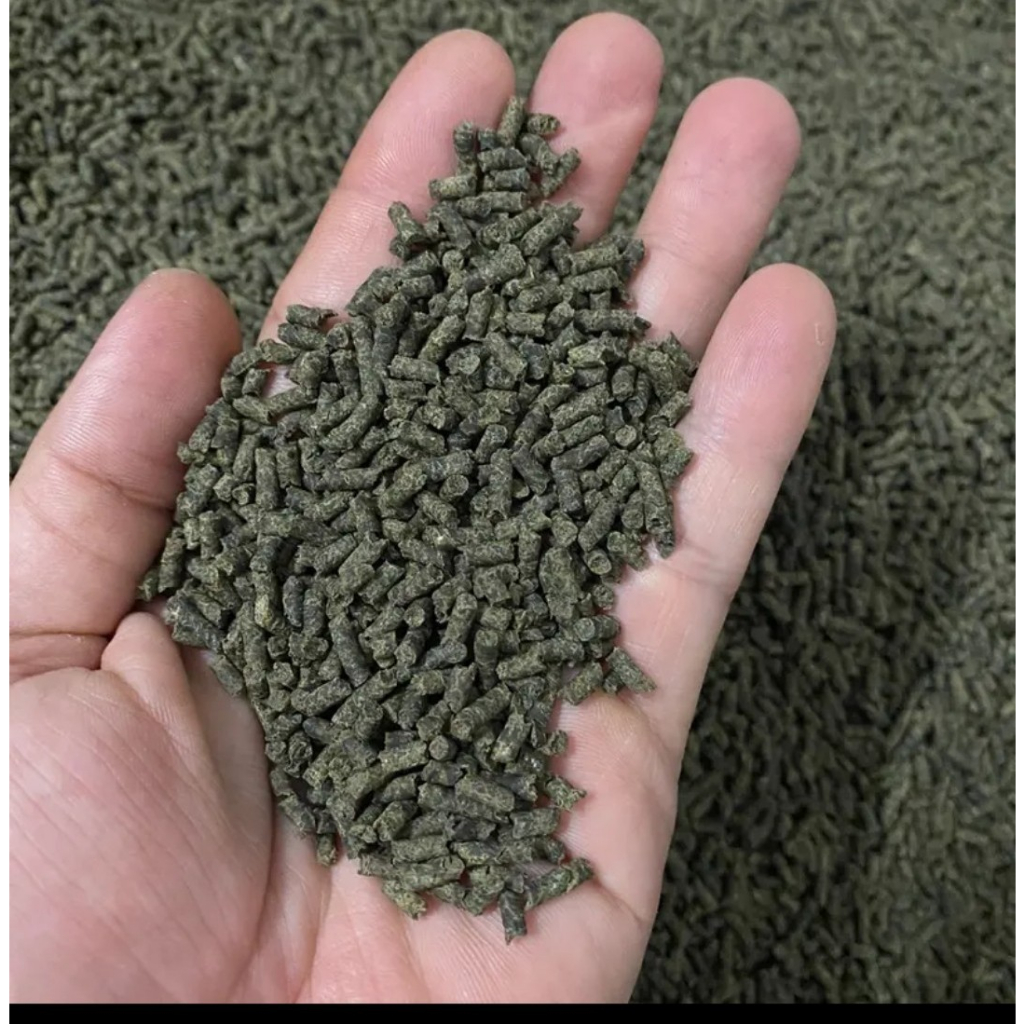 Gan bò ép viên cho gà đá hủ 500gram, giúp gà nòi gà tre thêm sung mãn, khỏe mạnh dẻo dai trong trận đấu.