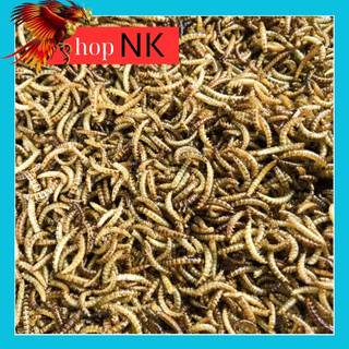 100gr Sâu Gạo sấy khô thức ăn dinh dưỡng cho Hamster chim gà đá cá cảnh sóc nhím 