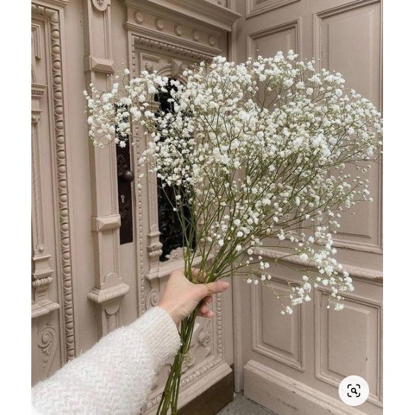 BÓ HOA BABY, HOA THỦY TINH xinh xắn, tiện lợi làm quà tặng, decor phong cách nàng thơ