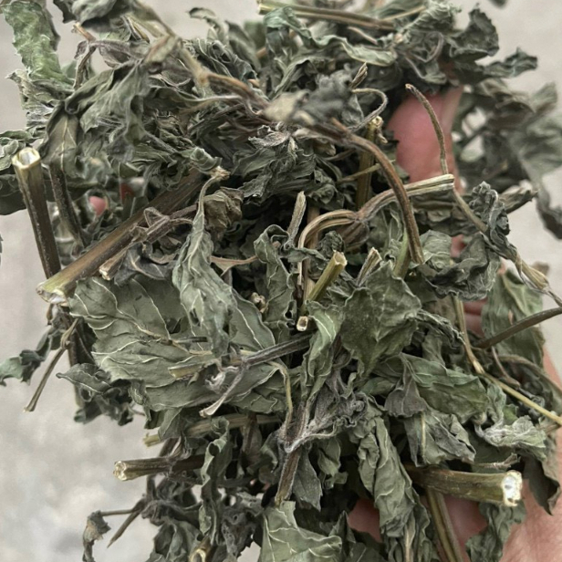 (Lẻ rẻ như buôn) 1kg lá cây bạc hà khô