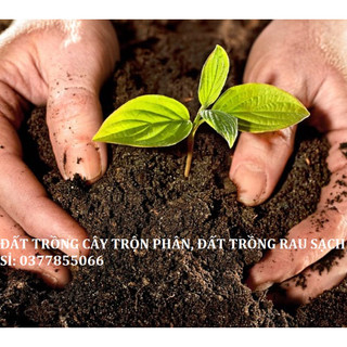 1kg đất sạch Sông Hồng, đất dinh dưỡng đã được trộn phân bón, tốt cho cây cảnh, cây hoa, cho cây khỏe, nhanh lớn