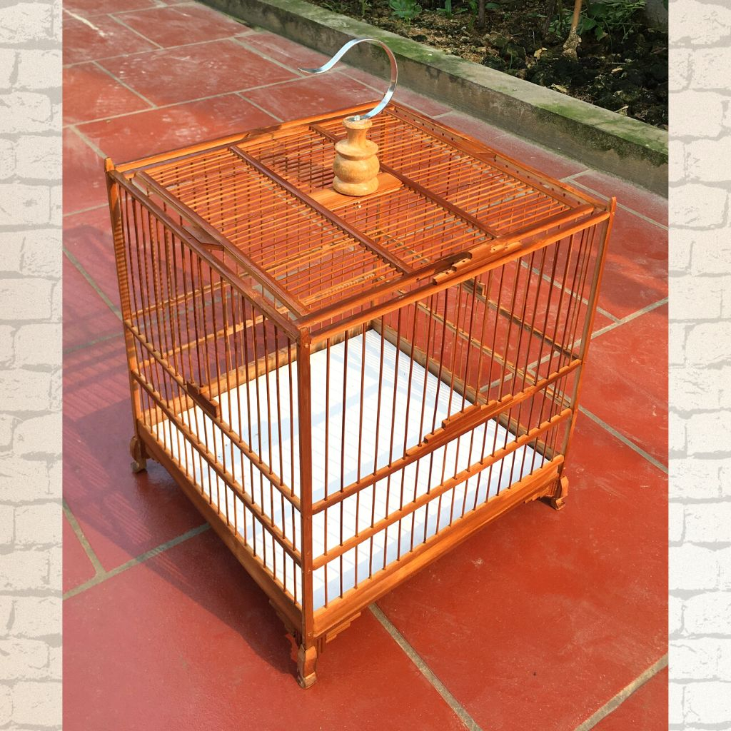 Khung lồng chim Chào mào Khung lồng Chào mào , chòe tự ráp giá rẻ kèm phụ kiện