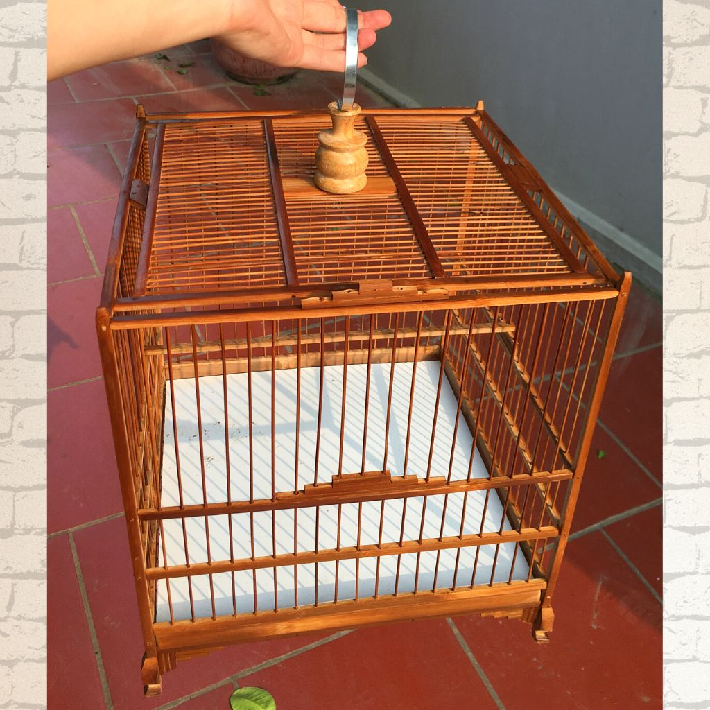 Khung lồng chim Chào mào Khung lồng Chào mào , chòe tự ráp giá rẻ kèm phụ kiện