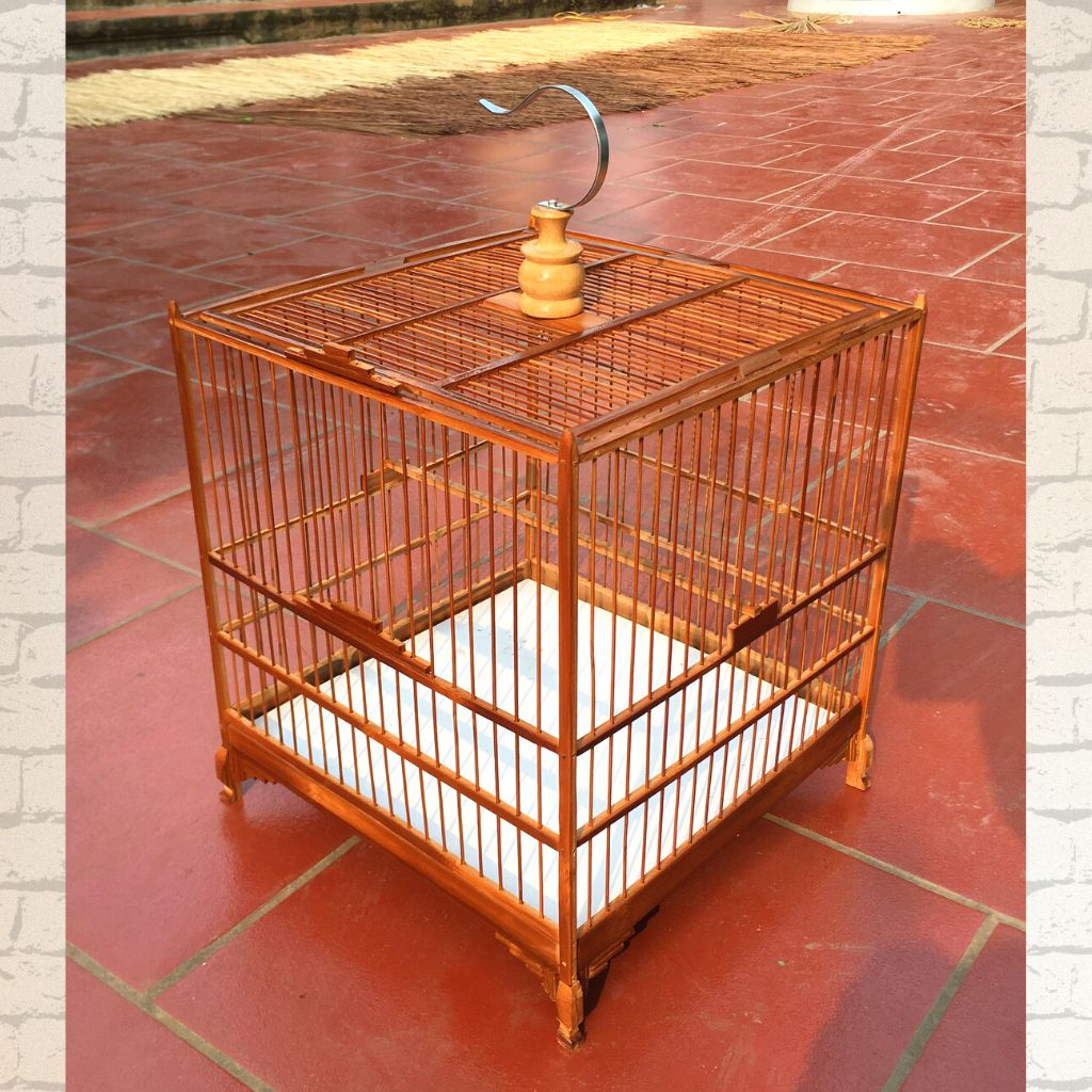 Khung lồng chim Chào mào Khung lồng Chào mào , chòe tự ráp giá rẻ kèm phụ kiện
