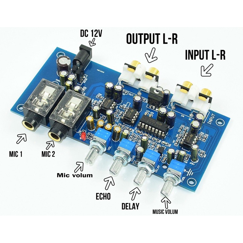 Mạch karaoke 2 cổng míc stereo 12VDC