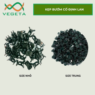 Set 10c kẹp bướm cố định lan size nhỏ - trung - vegetashop