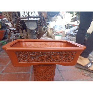 Chậu chữ nhật size 5416cm