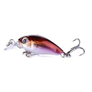 Mồi câu cá voi lưng gù 5cm, 4g ( ảnh thật)