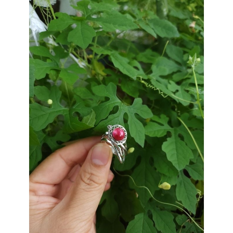 Nhẫn si Nhật hiệu