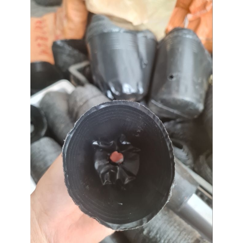 Combo 100, 50, 10 cái bầu ươm cây giống 8x8