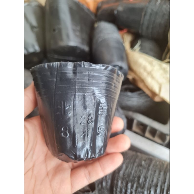 Combo 100, 50, 10 cái bầu ươm cây giống 8x8