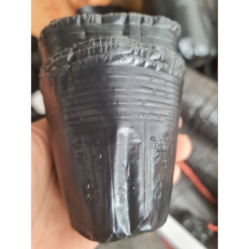 Combo 100, 50, 10 cái bầu ươm cây giống 8x8