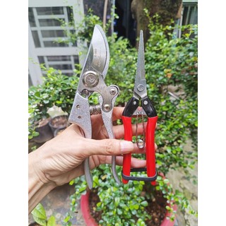 Combo 2 kéo cắt tỉa cành kapusi JAPPAN
