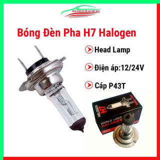 Bóng đèn pha H7 Halogen Head Lamp cho ô tô xe máy12/24V