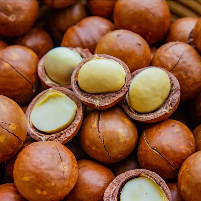 Hạt Macadamia Cao Cấp 200GR & 400GR