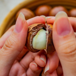 Hạt Macadamia Cao Cấp 200GR & 400GR