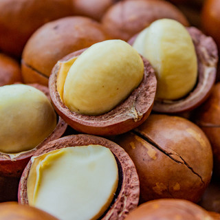 Hạt Macadamia Cao Cấp 200GR & 400GR