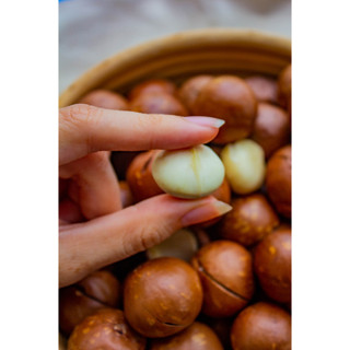 Hạt Macadamia Cao Cấp 200GR & 400GR
