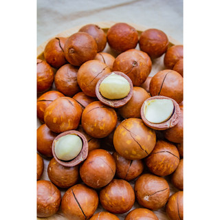 Hạt Macadamia Cao Cấp 200GR & 400GR