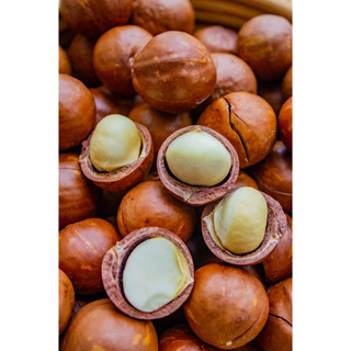 Hạt Macadamia Cao Cấp 200GR & 400GR