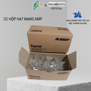 Hạt mạng AMP thường hộp 100 hạt