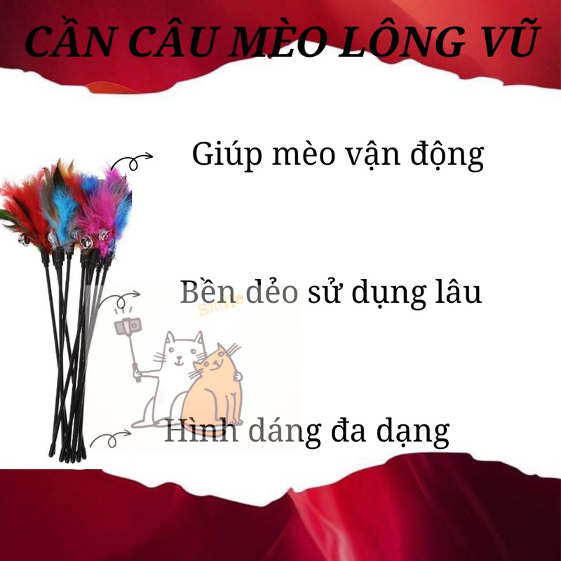 Đồ chơi cần câu mèo lông vũ