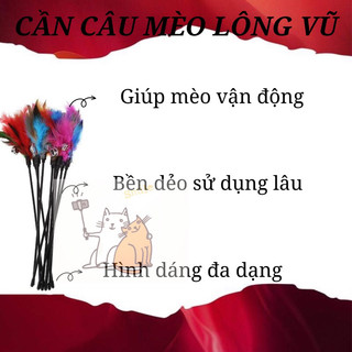 Đồ chơi cần câu mèo lông vũ